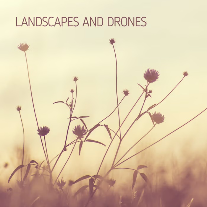 Landscapes and Drones